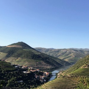 Douro Vineyards Hike