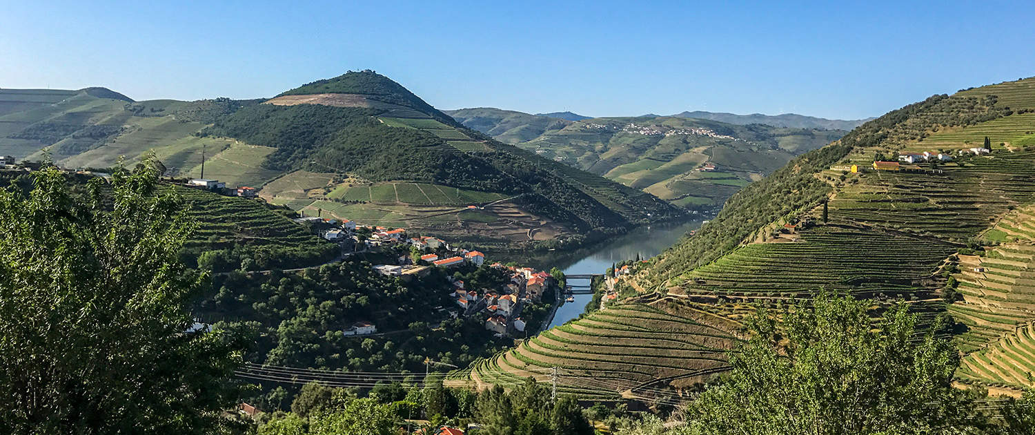 Douro Vineyards Hike - Portugal Nature Trails