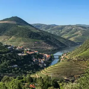 Douro Vineyards Hike - Portugal Nature Trails