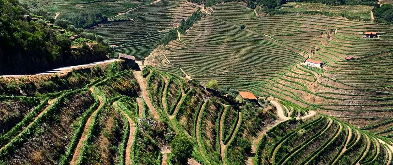 Douro Valley by Bike - Portugal Nature Trails