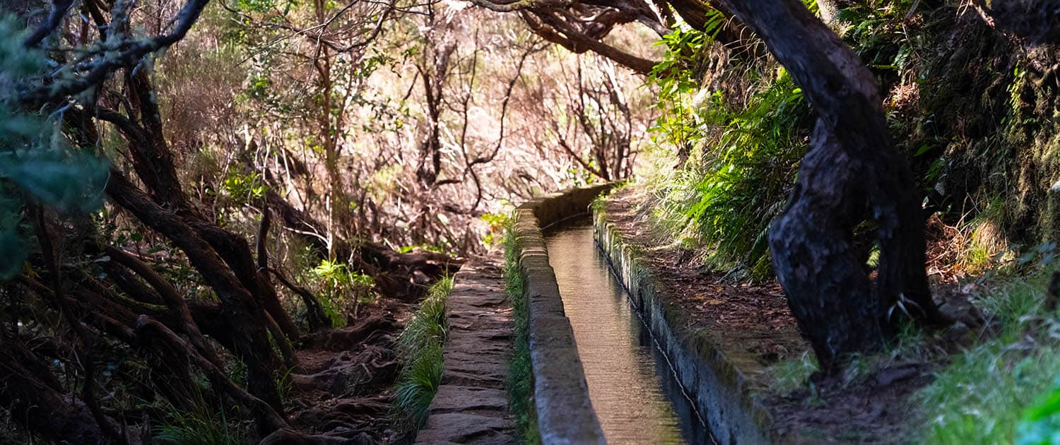Explore Madeira Island - Portugal Nature Trails