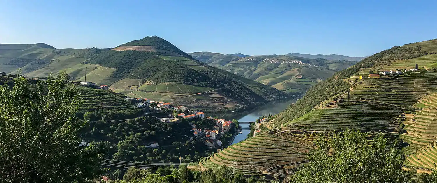 Douro Vineyards Hike | Hiking and Cycling | Portugal Nature Trails