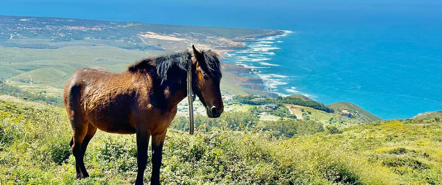 Sintra Cascais Food & Hike Experience | Hiking and Cycling | Portugal Nature Trails