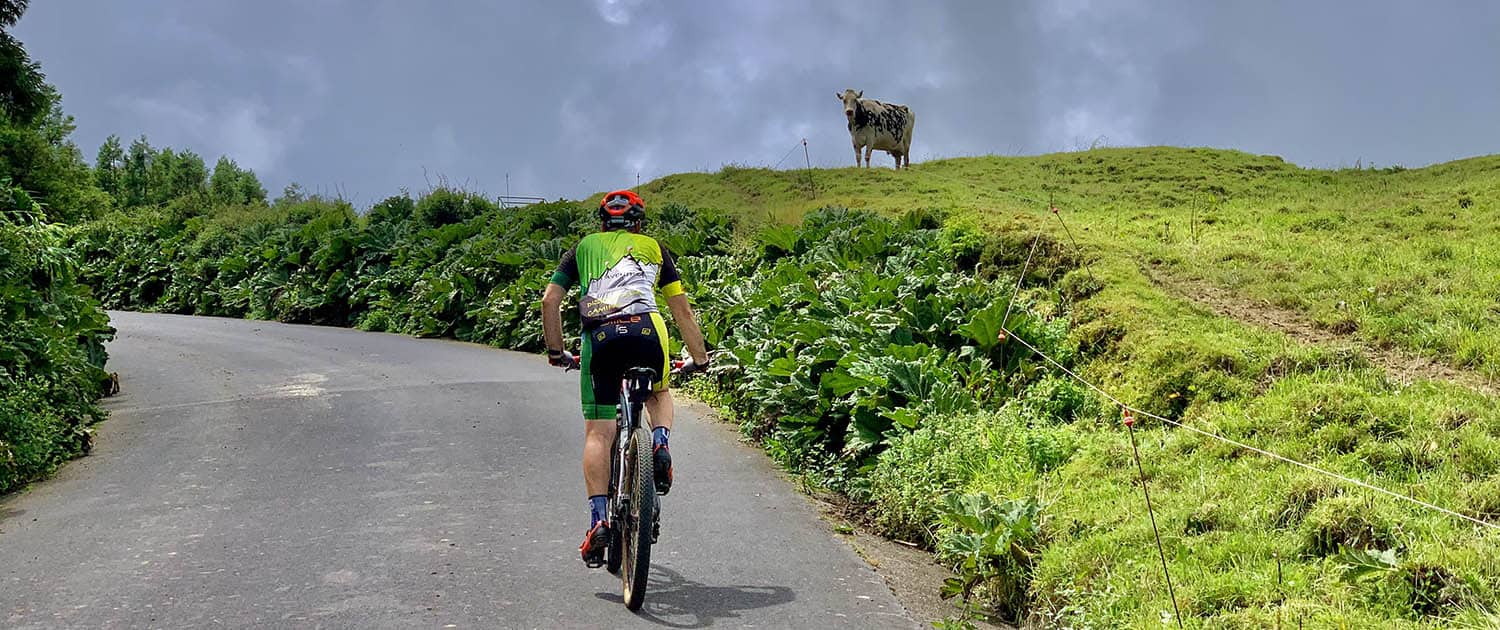 Mountain biker pedaling uphill past green fields in the Azores
