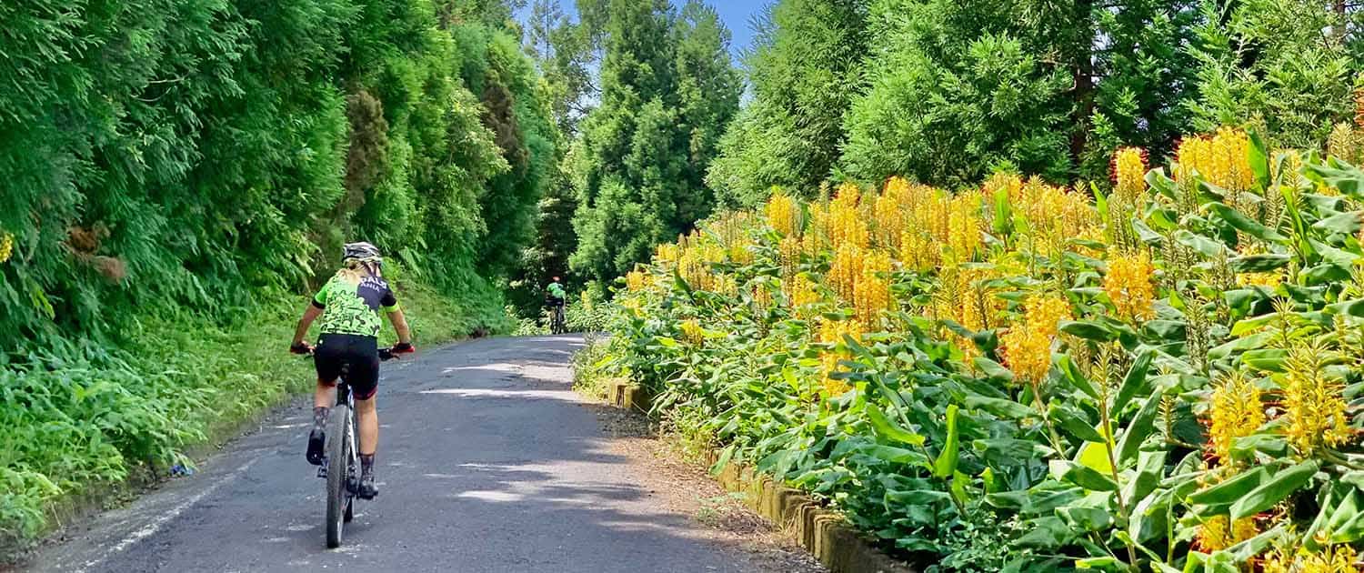 Cyclists Enjoying Nature in Azores