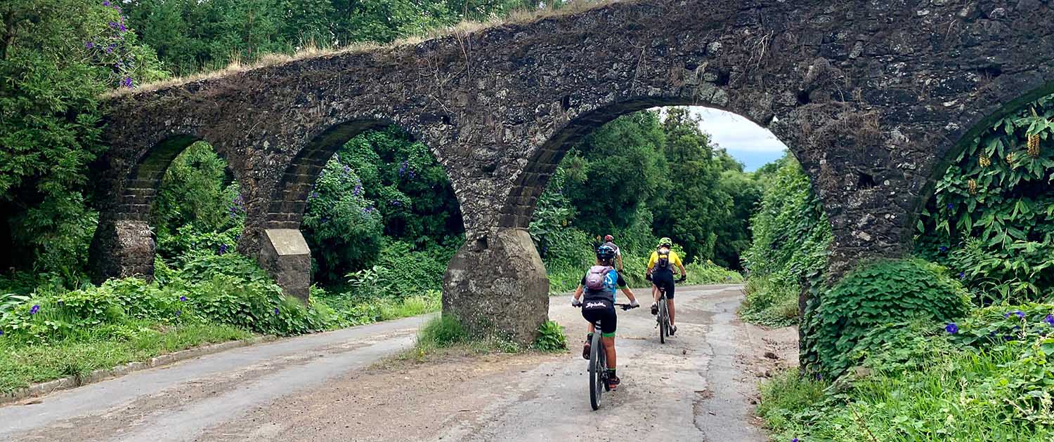 Group cycling tour through hydrangea-lined roads in the Azores