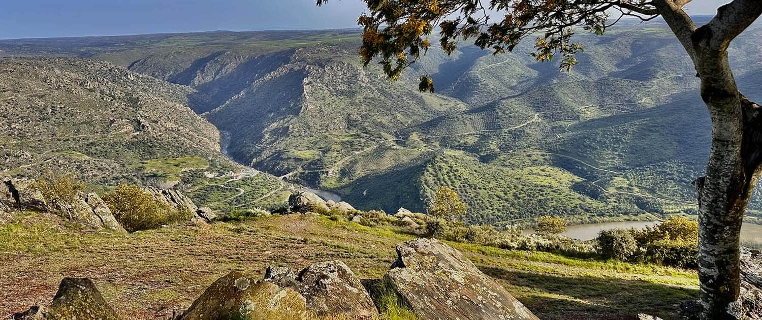 Historical Villages & the Douro Valley