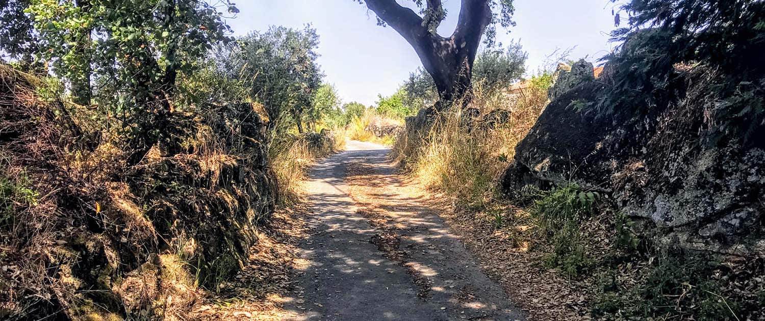 Historical Villages & the Douro Valley